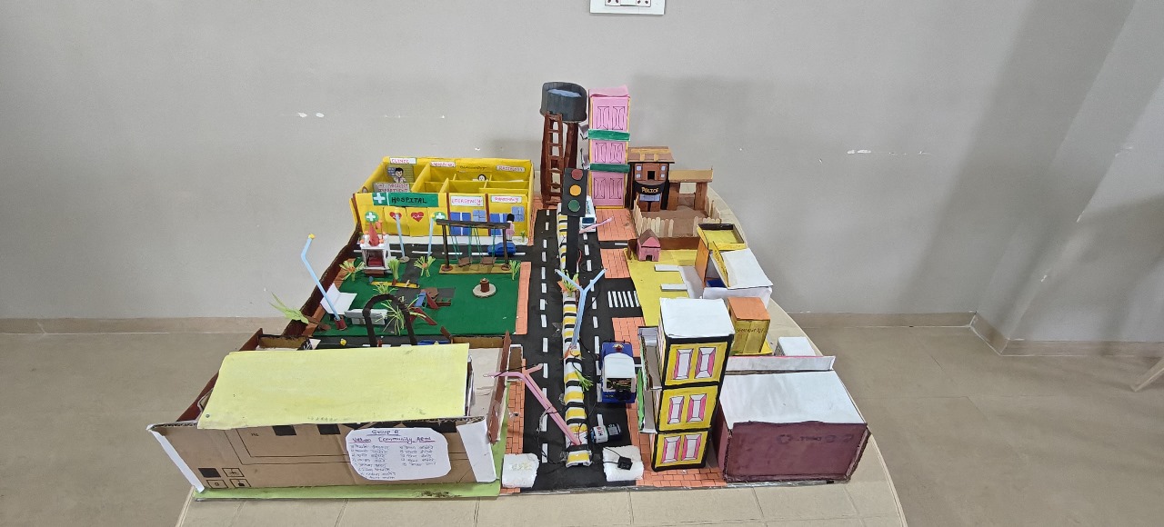 College Structure 3